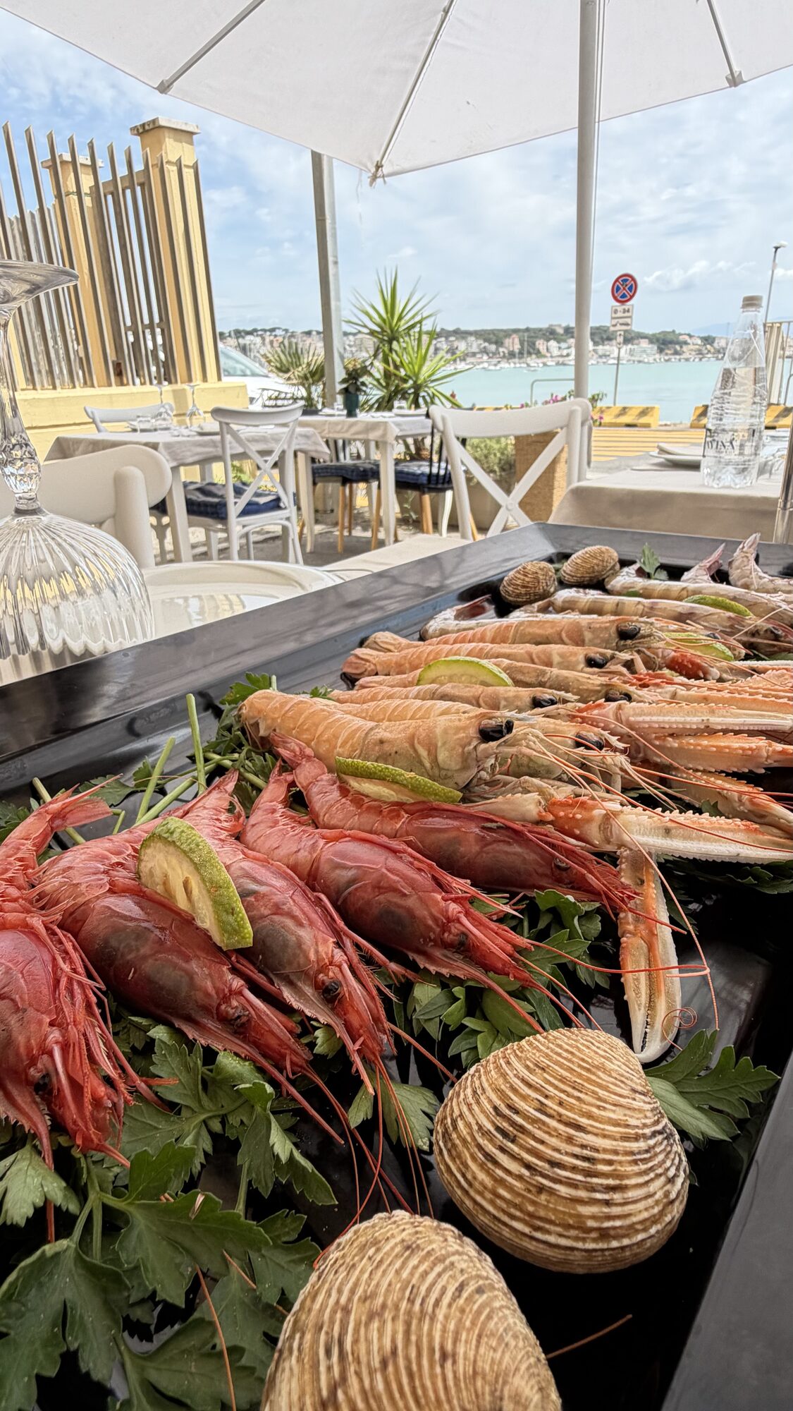 Crudi di mare e crostacei con vista sul porto di Anzio
